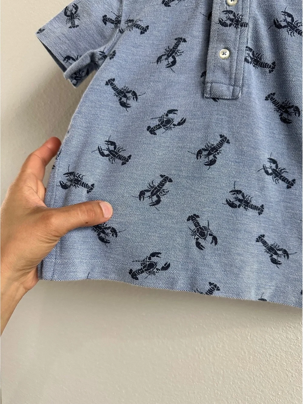 Ralph Lauren Boys Polo Lobster Shirt Size 24M